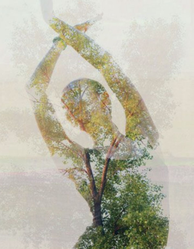 Taller de Jivamukti Yoga:<br>Conexión y Transformación