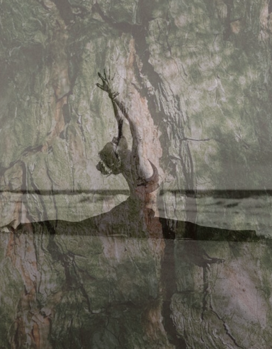 Taller de Hanumanasana  <br>  Un salto de flexibilidad y conciencia