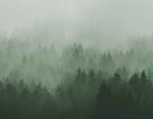 Breathwork <br> Liberar y Reconectar