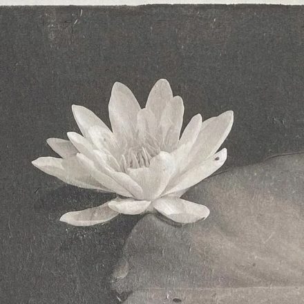 Yamas y Niyamas: <br> los pilares del Yoga