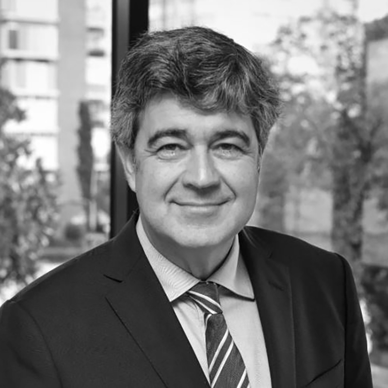 Sr. Josep M. Coronas Guinart