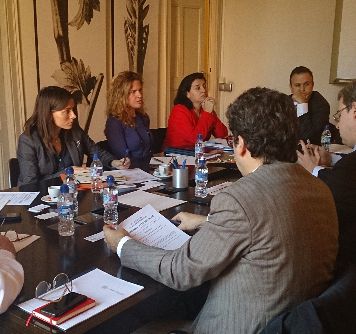 Estructura de gobierno de CCIES: Asamblea General, Junta Directiva y Comisiones especializadas