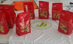 BAHIA DE POLLENÇA 2017