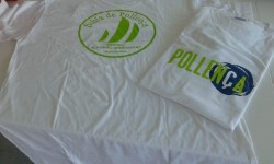 BAHIA DE POLLENÇA 2017 a