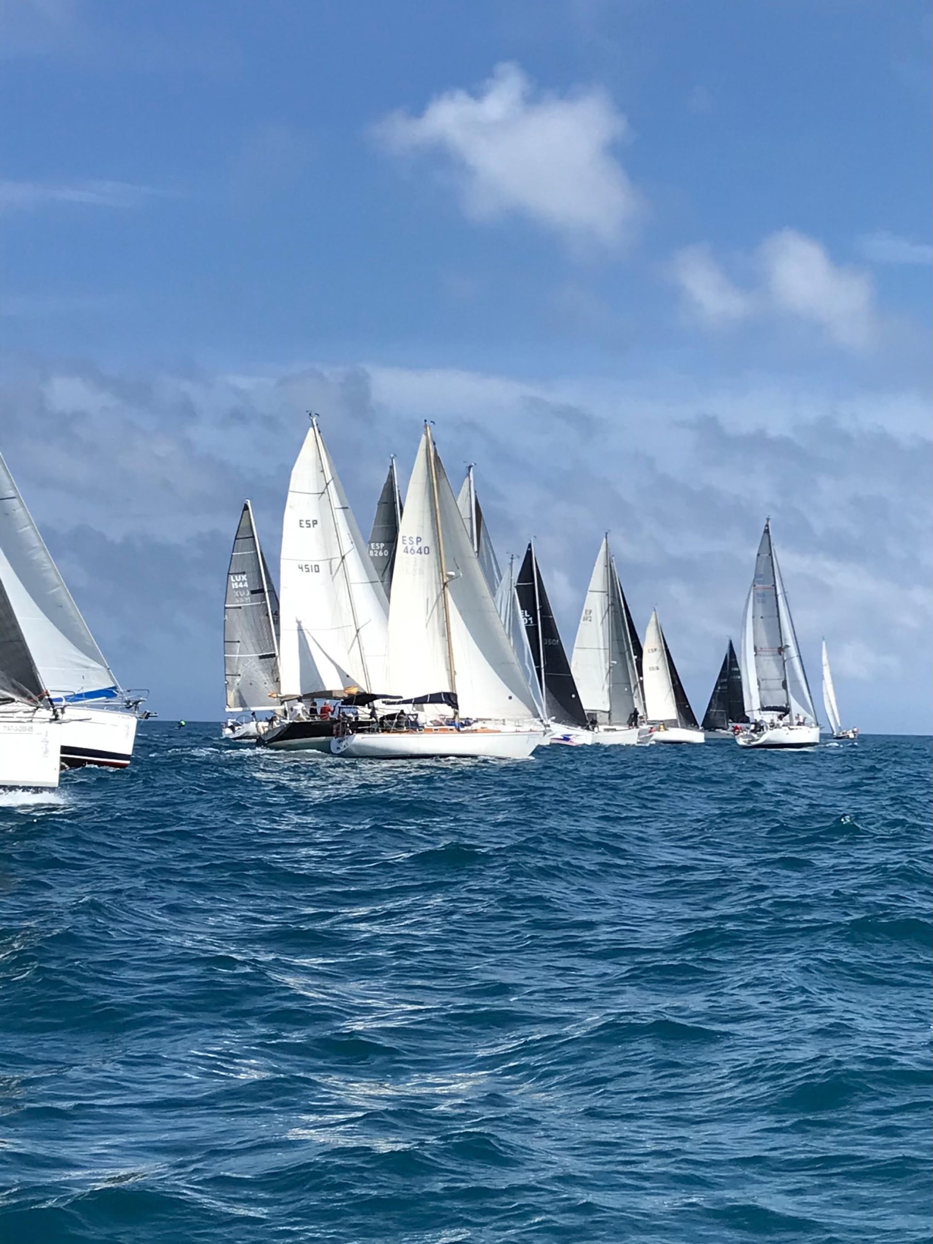 Zarpa la Bahia de Pollença 2021