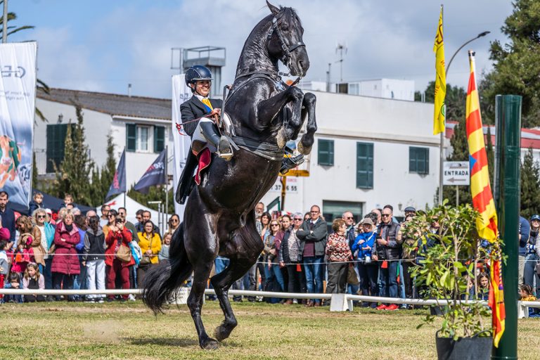 Caballo de Pura Raza Menorquina realizando un bot en pista