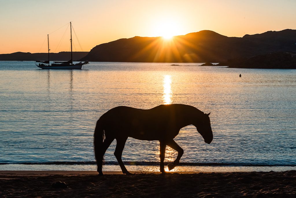 Fòrum Menorca, Turisme i Cavalls