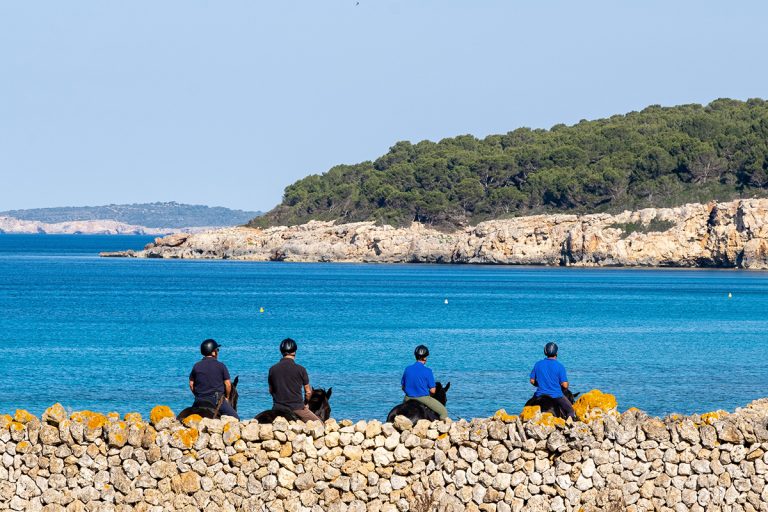 Caballo de Pura Raza Menorquina