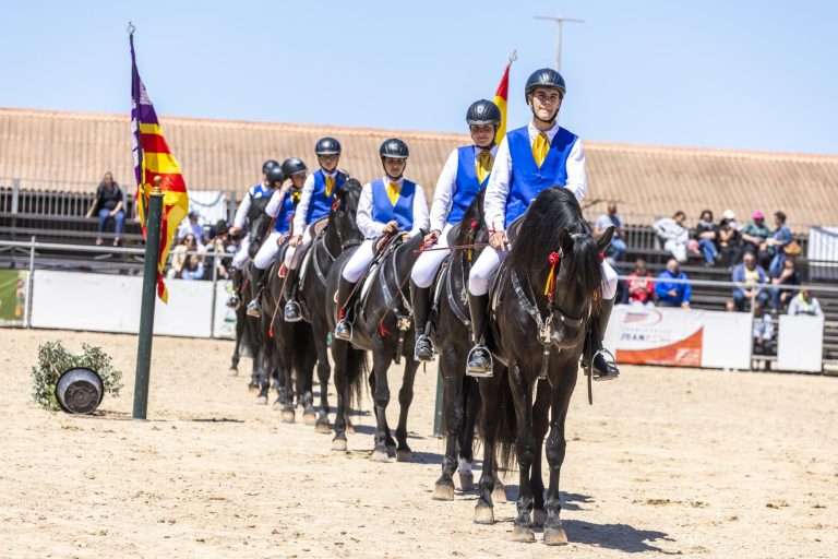 Entrega de premios especiales