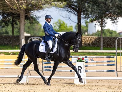 Funcionalidad Doma Menorquina