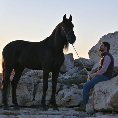 Entrevista a Josep Olives Prats: “El caballo te enseña que todo tiene su tiempo”