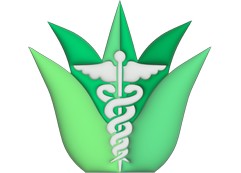 Giving universal access to medical decision support