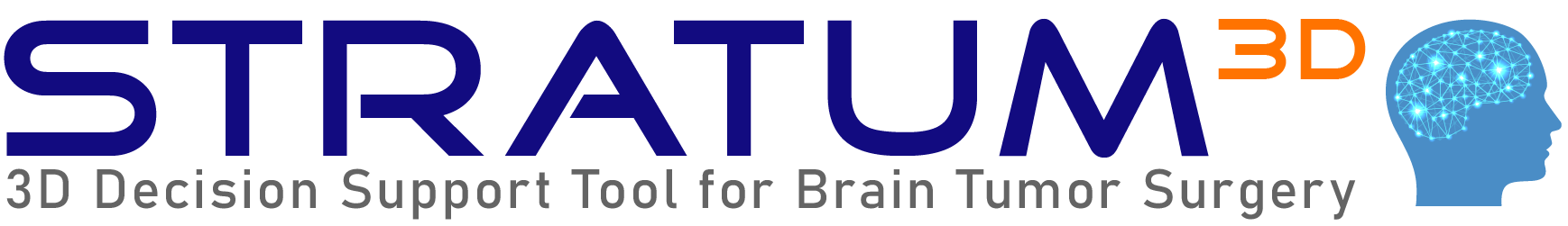 Startum – 3D Decision Support Tool for Brain Tumor Surgery