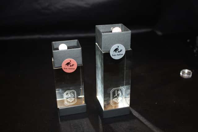 JS-SWING-LINE-Trofeos-de-autor