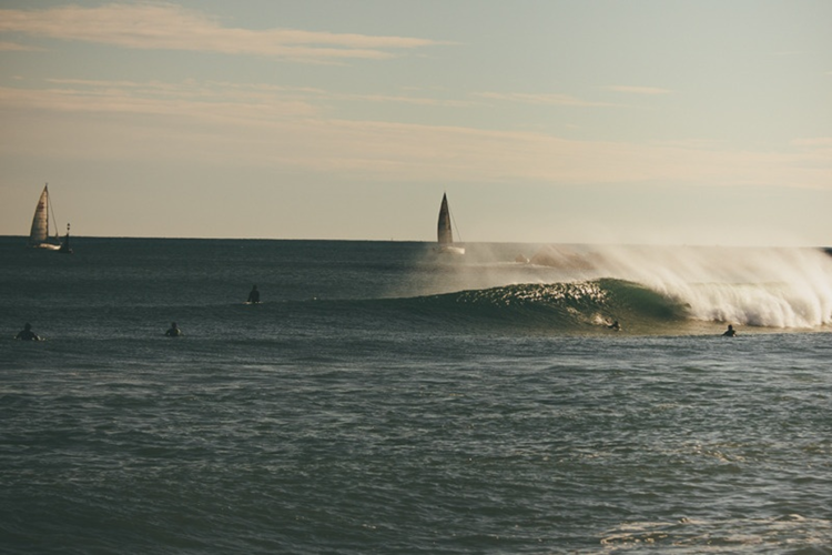 De ola en ola: la serie que te explica cómo y cuando llegó el surf allí dónde vayas
