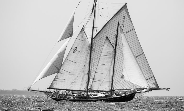 The Puig Vela Clàssica Barcelona Regatta reaches its VIII Edition