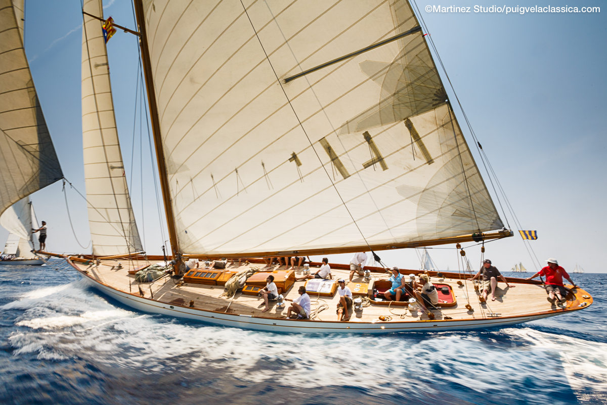 Alba, Emeraude, Marigold, Amorita y Moonbeam III se proclaman vencedores de esta edición
