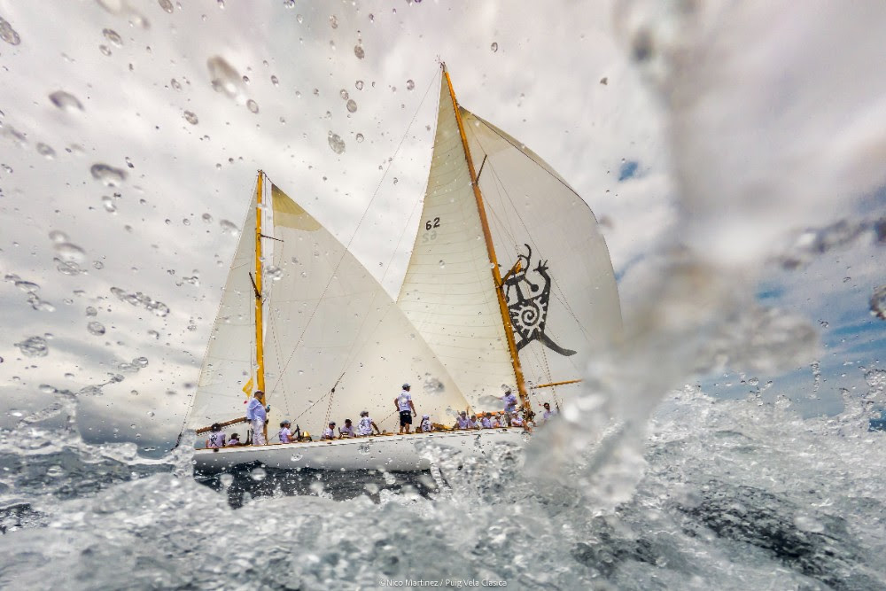puig_vela_classica