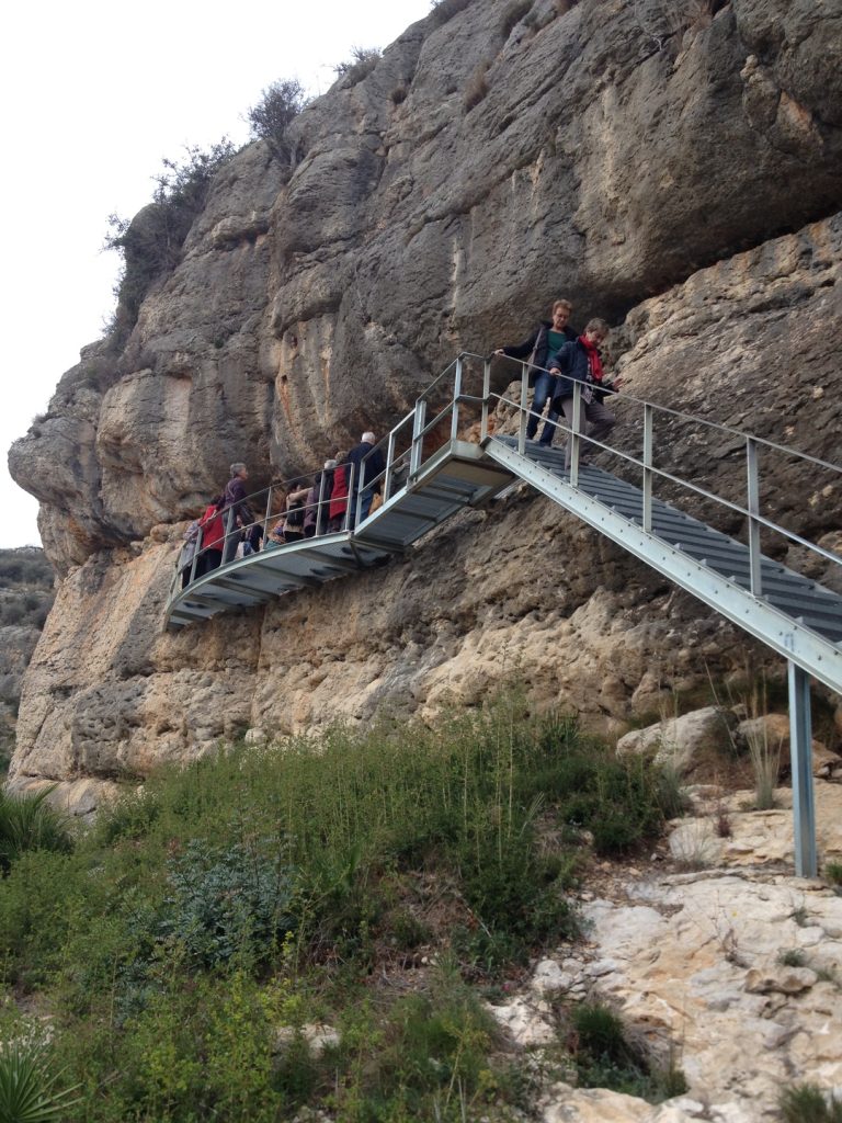 Privado: Cabra Hispánica: El Símbolo del Parque Natural dels Ports