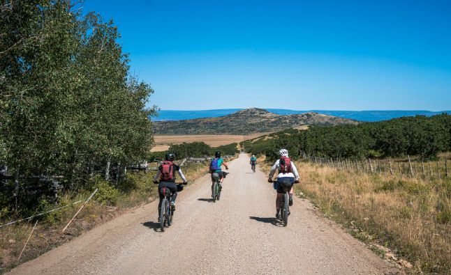 Lloguer de bicicletes