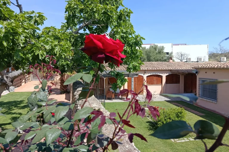 Jardines Villa Masia Notari