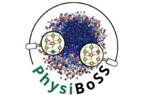 PhysiBoSS